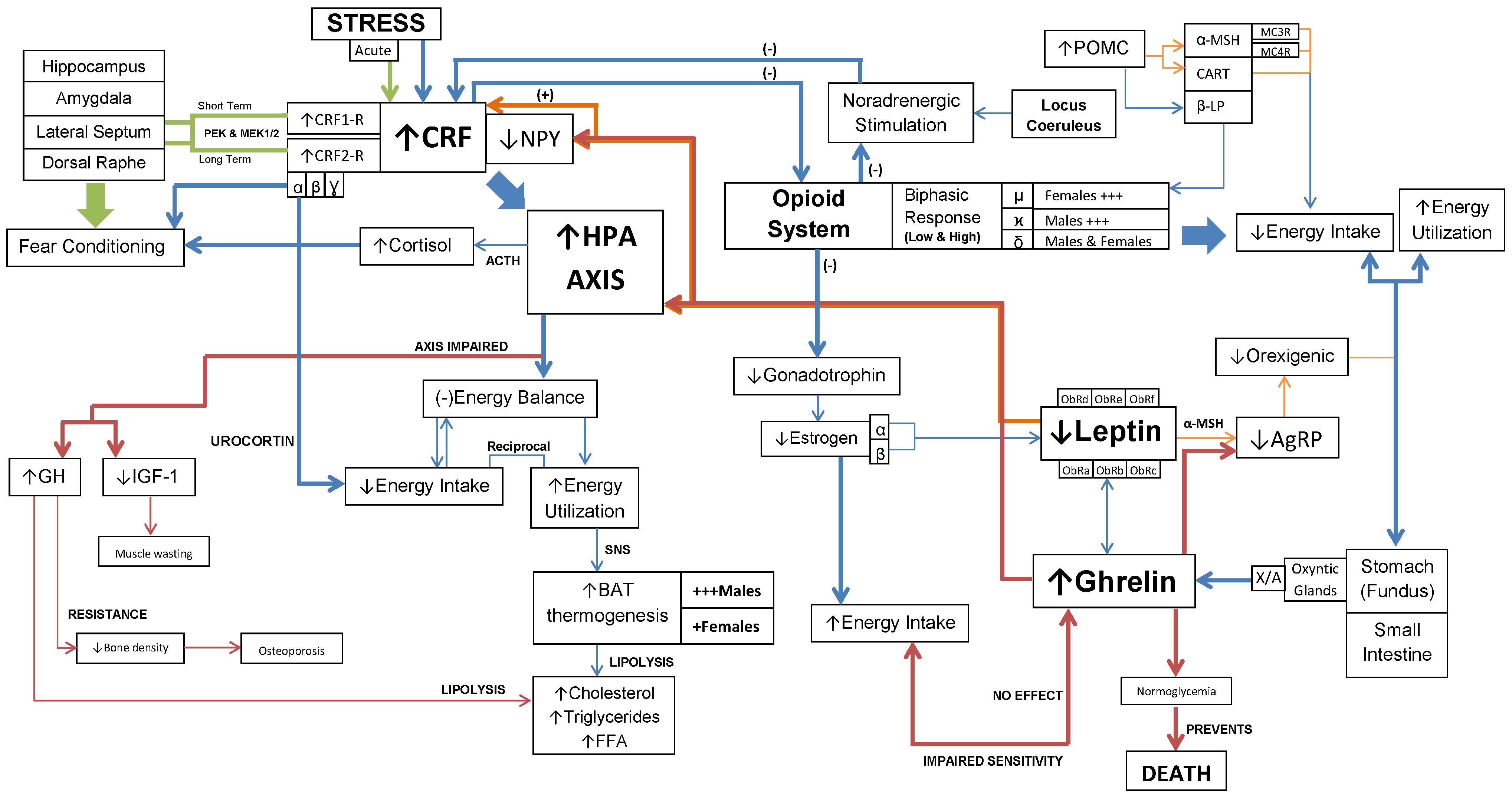 Int J Med Sci Image