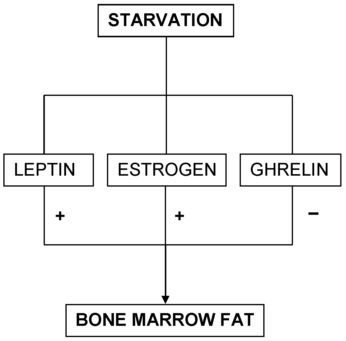 Int J Med Sci Image