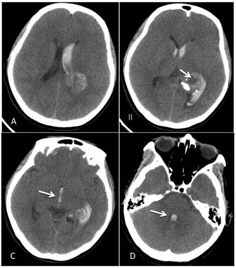 Int J Med Sci Image