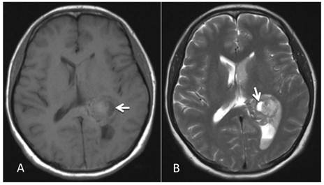 Int J Med Sci Image