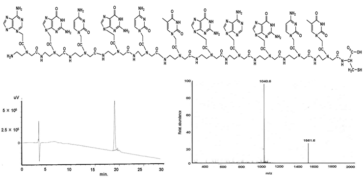 Int J Med Sci Image