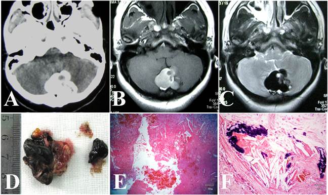 Int J Med Sci Image