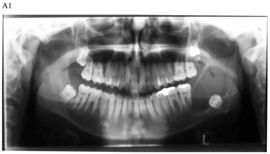 Int J Med Sci Image