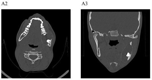 Int J Med Sci Image