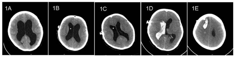 Int J Med Sci Image