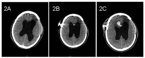 Int J Med Sci Image