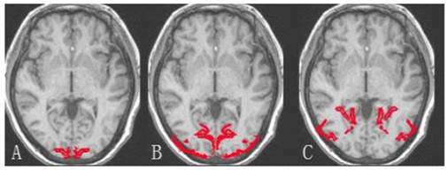 Int J Med Sci Image