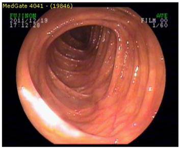 Int J Med Sci Image