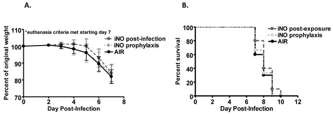 Int J Med Sci Image