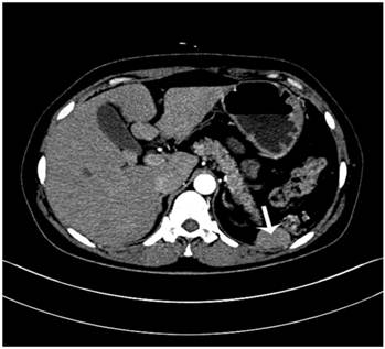 Int J Med Sci Image