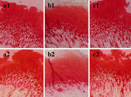 Int J Med Sci Image