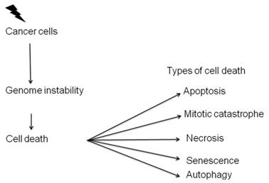 Int J Med Sci Image