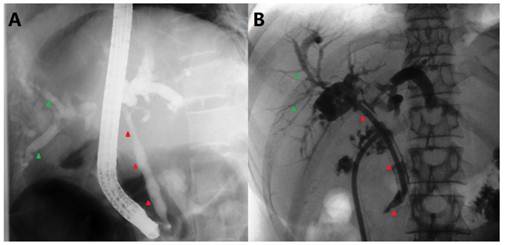 Int J Med Sci Image