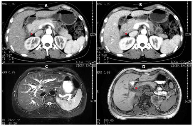 Int J Med Sci Image