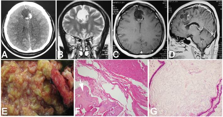 Int J Med Sci Image