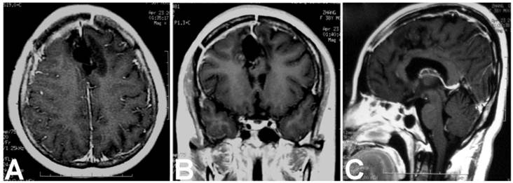 Int J Med Sci Image