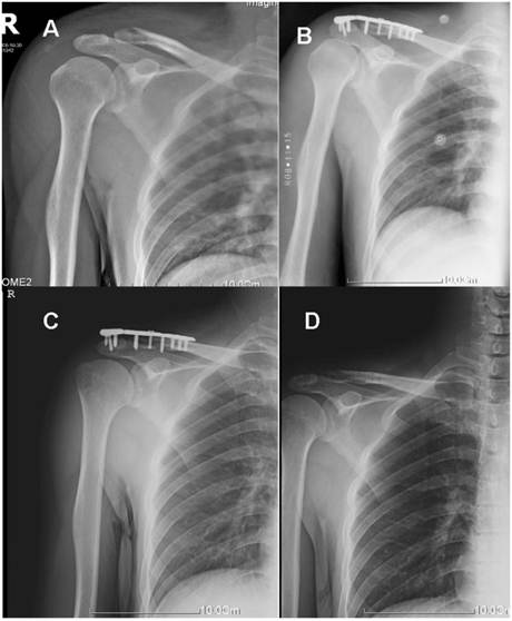 Int J Med Sci Image