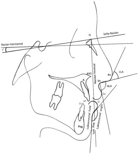 Int J Med Sci Image