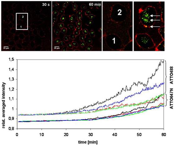 Int J Med Sci Image