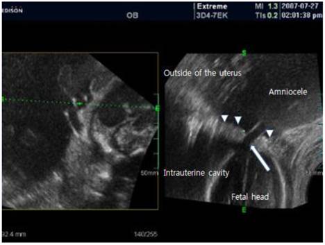 Int J Med Sci Image