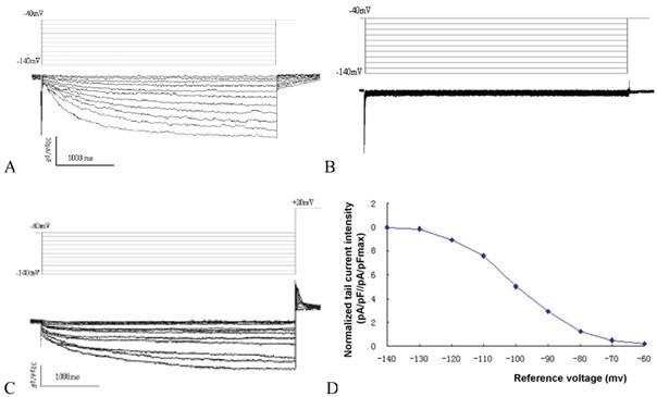 Int J Med Sci Image