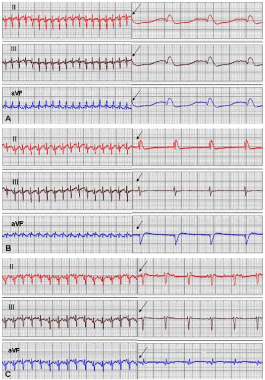 Int J Med Sci Image