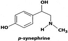 Int J Med Sci Image