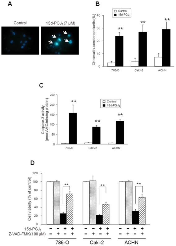 Int J Med Sci Image