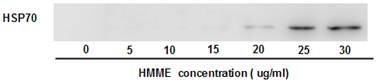 Int J Med Sci Image