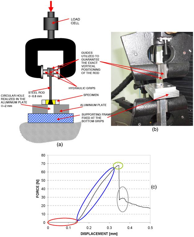 Int J Med Sci Image