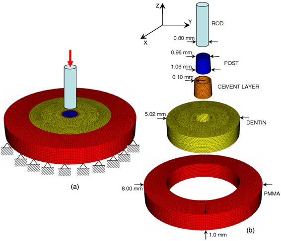 Int J Med Sci Image