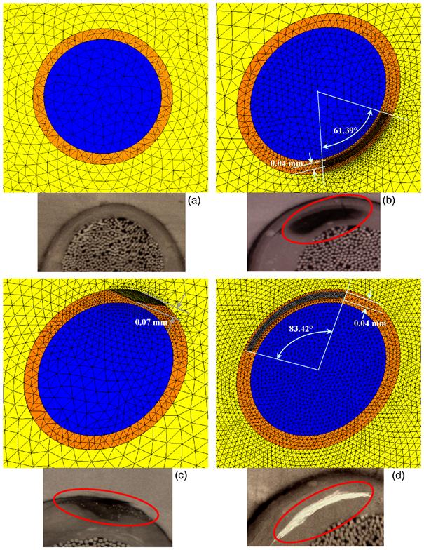 Int J Med Sci Image