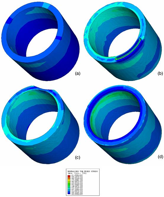 Int J Med Sci Image