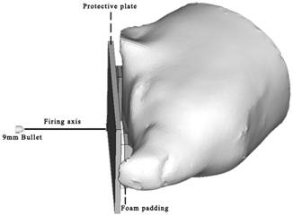 Int J Med Sci Image