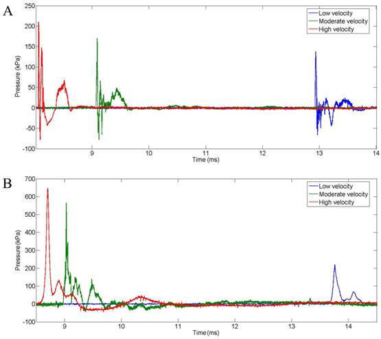 Int J Med Sci Image