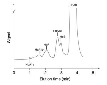 Int J Med Sci Image