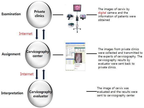 Int J Med Sci Image