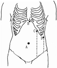 Int J Med Sci Image