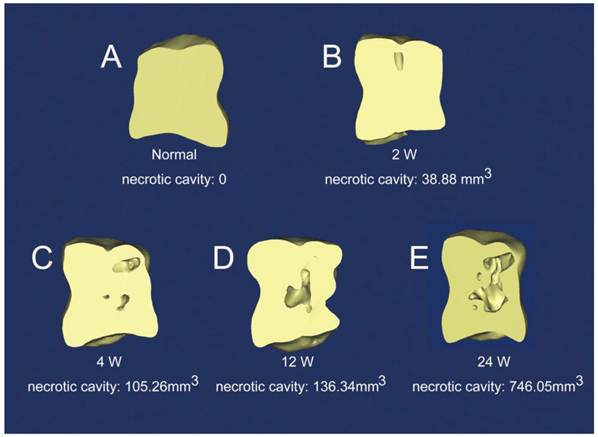 Int J Med Sci Image