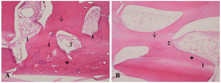 Int J Med Sci Image