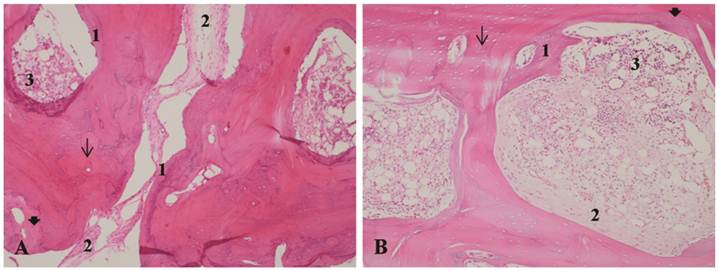 Int J Med Sci Image