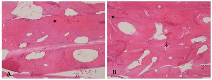 Int J Med Sci Image