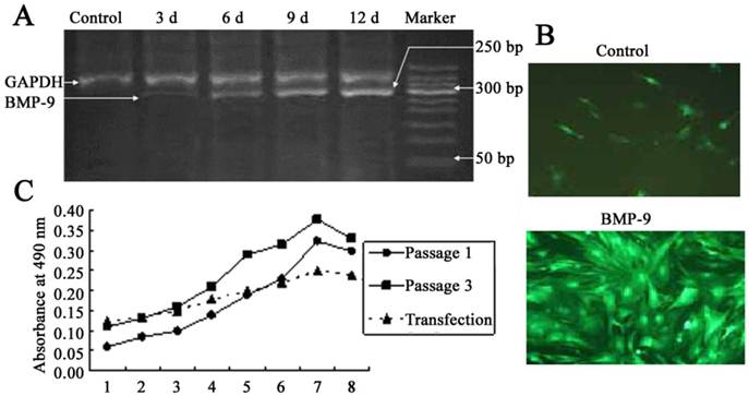 Int J Med Sci Image