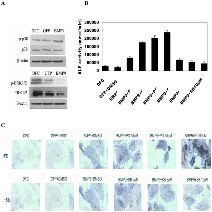 Int J Med Sci Image