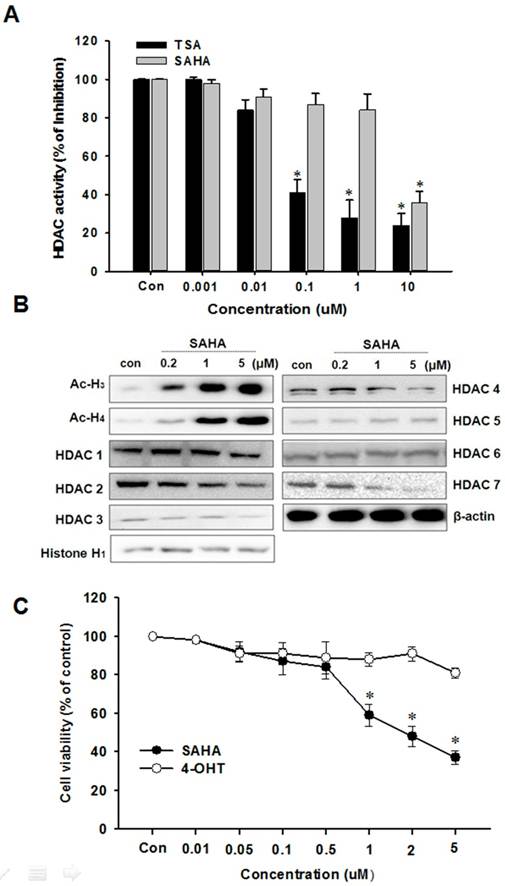 Int J Med Sci Image