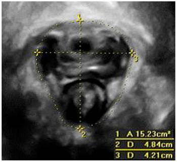 Int J Med Sci Image