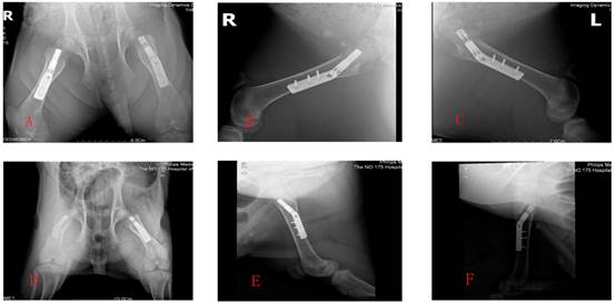 Int J Med Sci Image