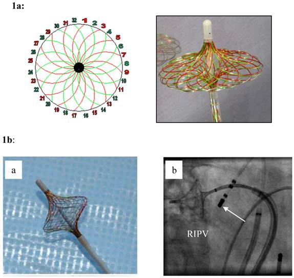 Int J Med Sci Image