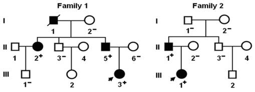 Int J Med Sci Image