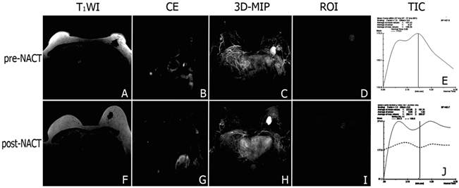 Int J Med Sci Image